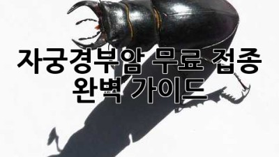 자궁경부암 무료 접종: 완벽 가이드